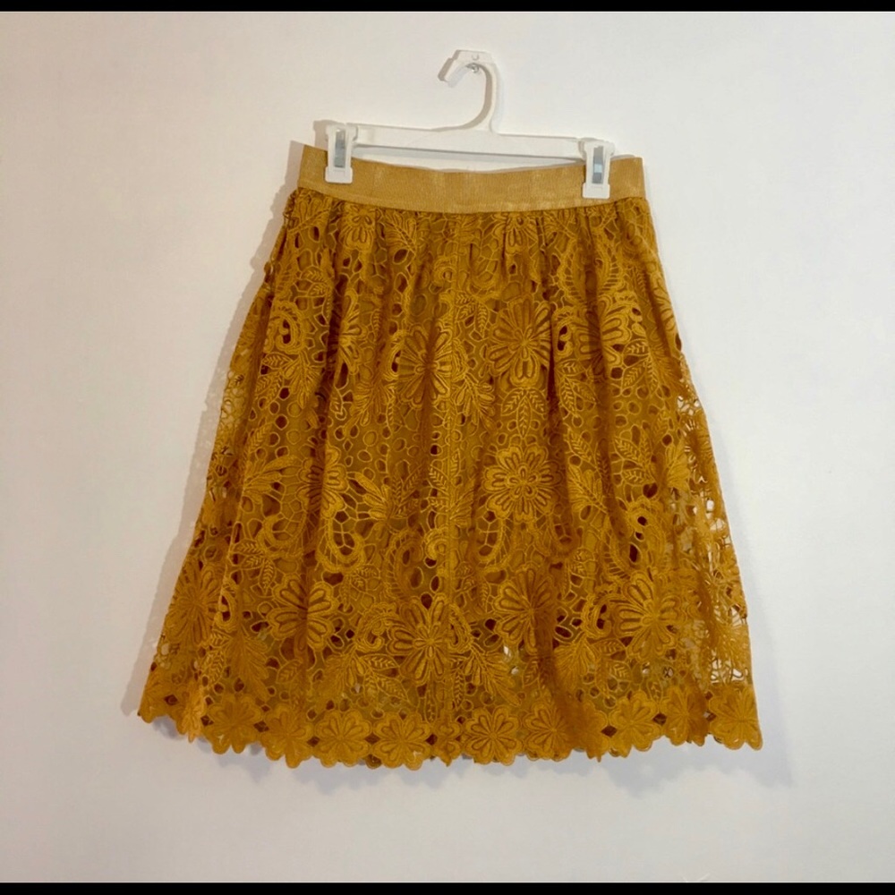 Ann Taylor Lace Skirt